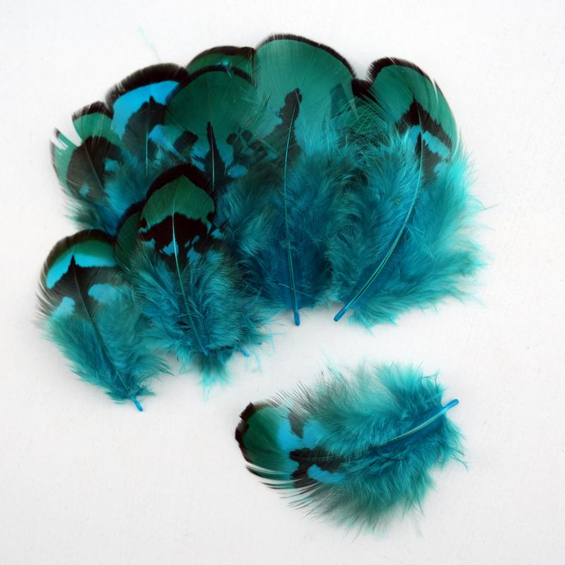 Natural DIY Pheasant Feathers  - Wedding Supply In Bulk review and price